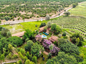 Palmeiras Hotel Fazenda by Concavus